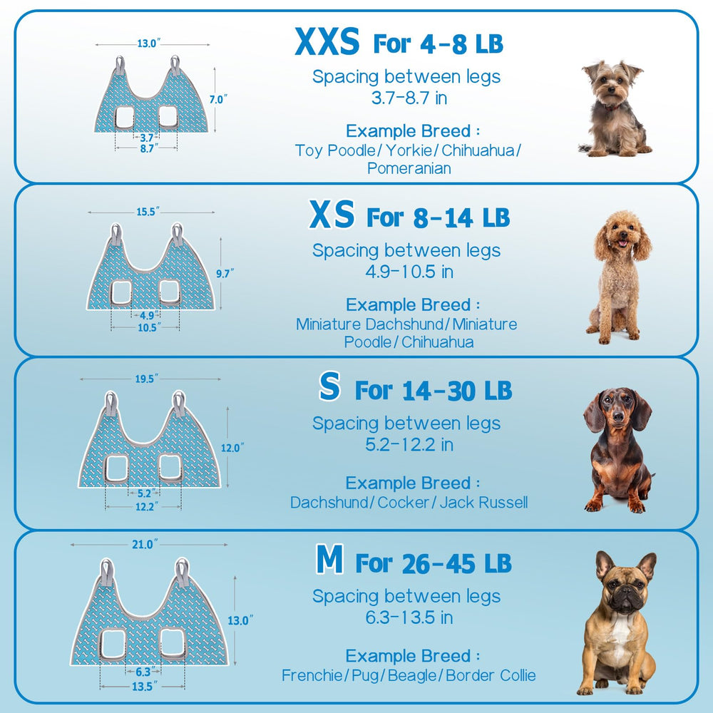 Supet size chart guides choosing the right fit for Teddy or Labrador.