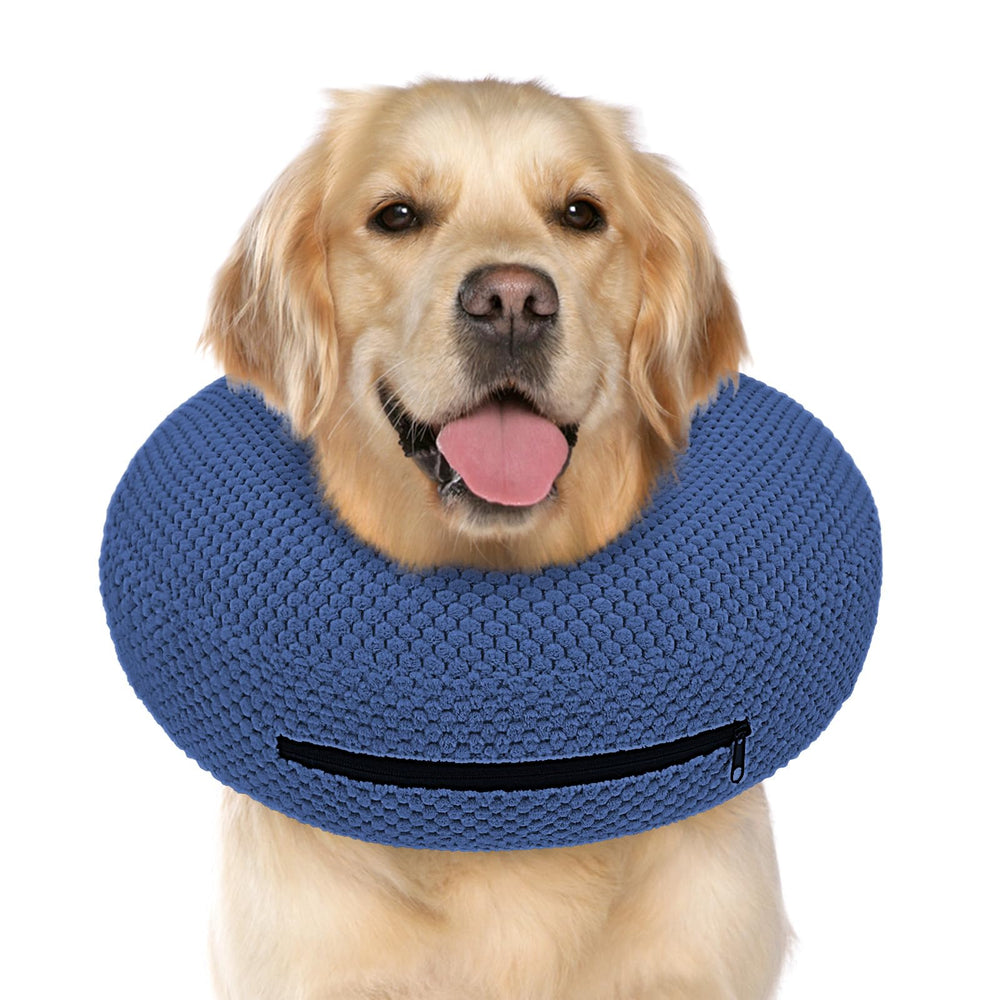 Supet inflatable dog cone in use shows comfortable recovery without hindering activity