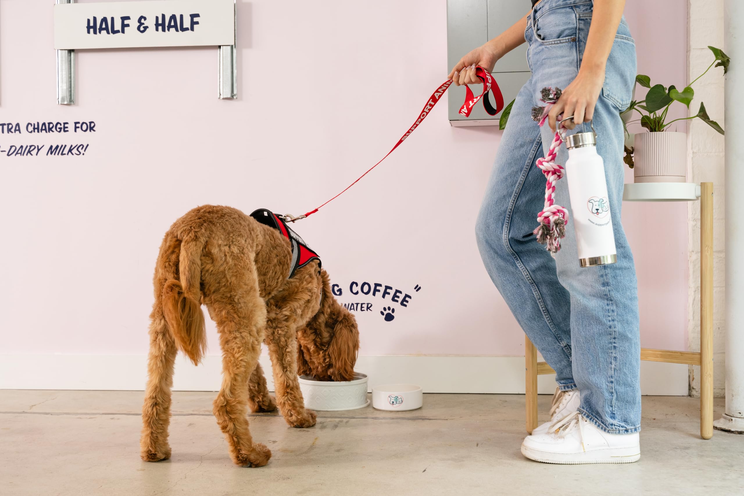 Support Pets ESA leash is lightweight yet strong for comfortable handling.