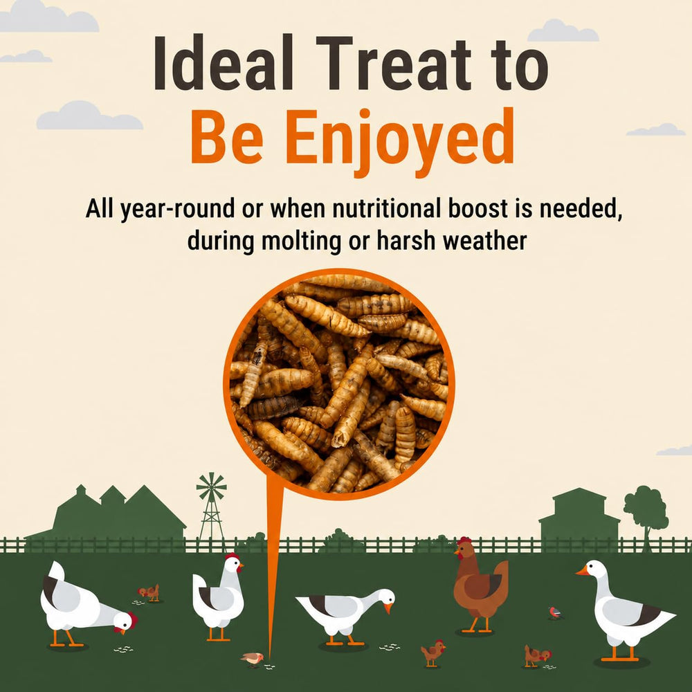 Supreme Grubs fiber and amino acids for feathers; promotes vibrant plumage in chickens