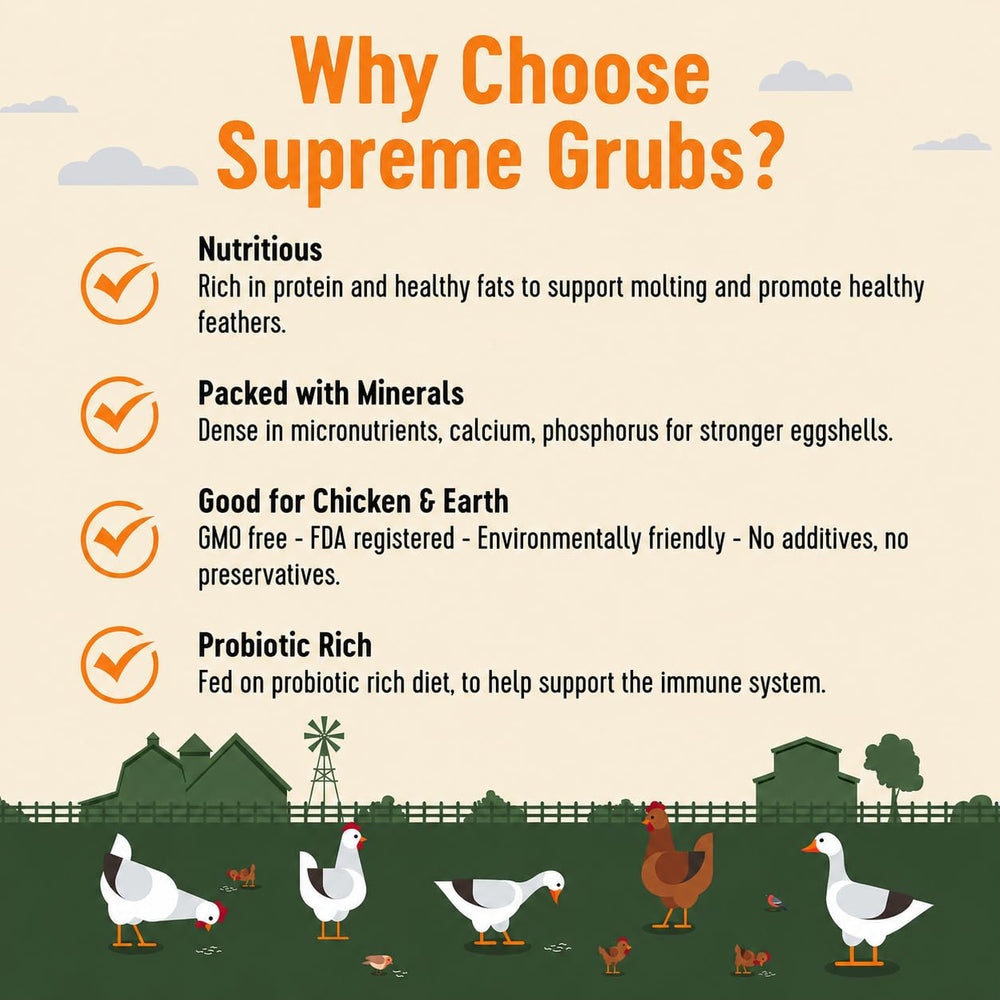 Supreme Grubs immune-support-for-flocks image; probiotic-rich formula for flock wellness