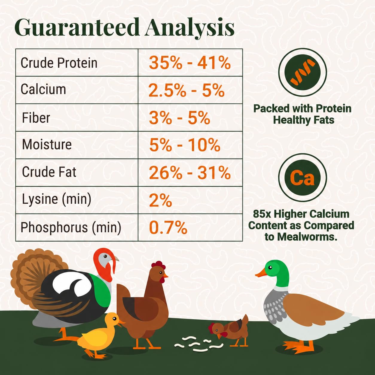 Supreme Grubs probiotic-rich bird-treat image; may support gut balance in flocks