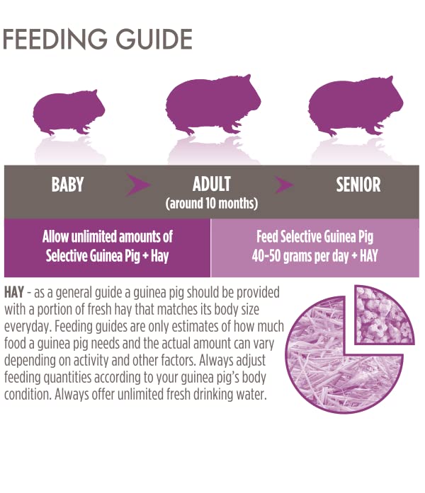 Science Selective label closeup indicating quality and brand credibility