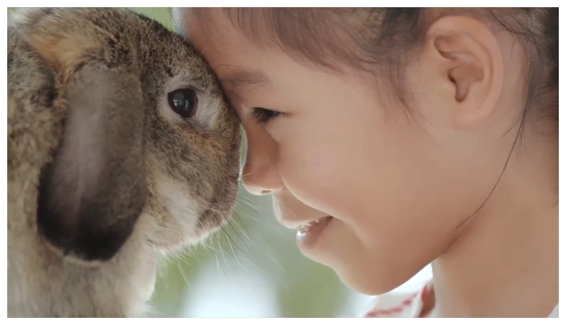 Small pet enjoying Garden Sticks snack as a crunchy reward