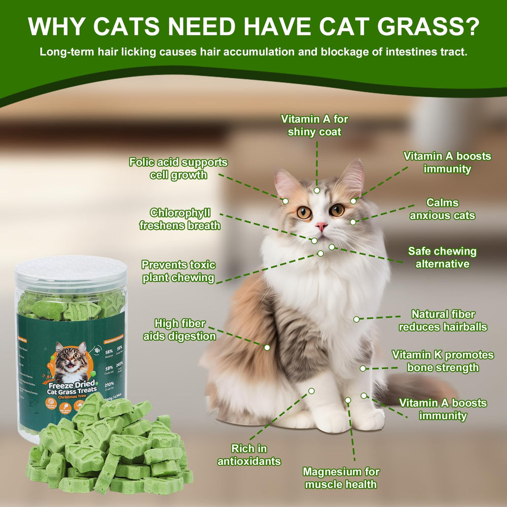 SuPruida fiber-rich formula supports dental health with plant-based ingredients