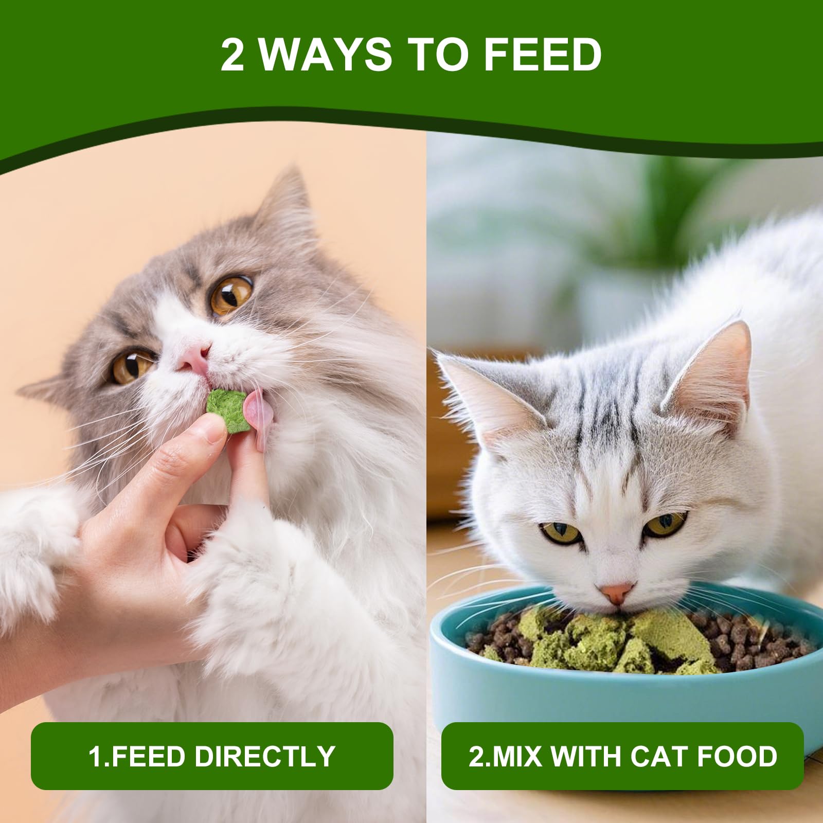 SuPruida cat enjoying snack scene showcases tasty, engaging treat