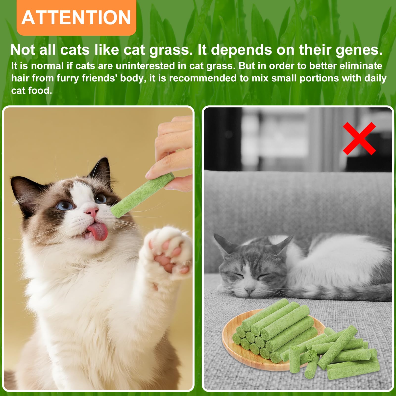 SuPruida serve as training reward to encourage healthy snacking