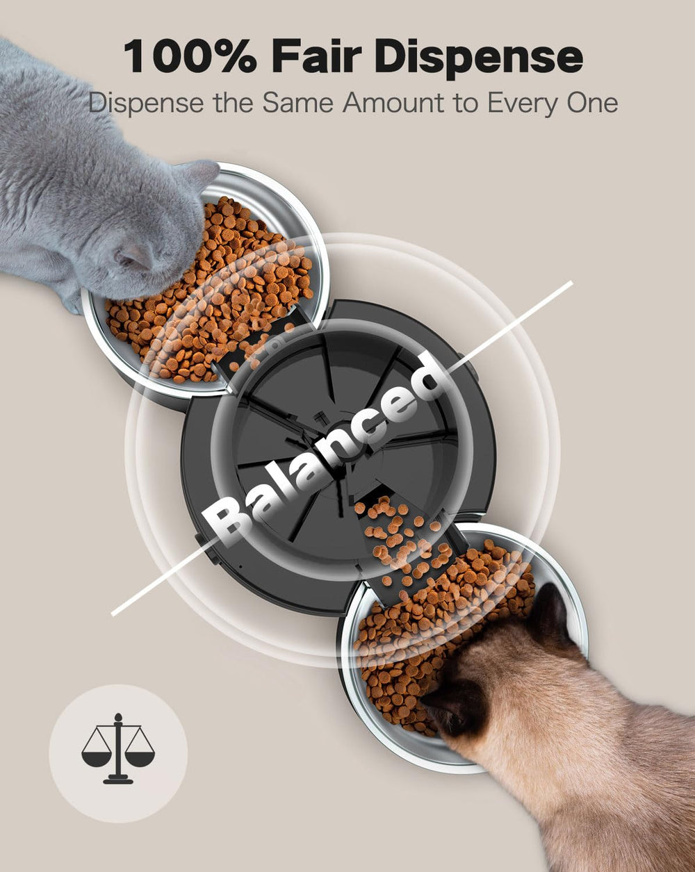 Surdy two stainless bowls offer sturdy dining for two cats.