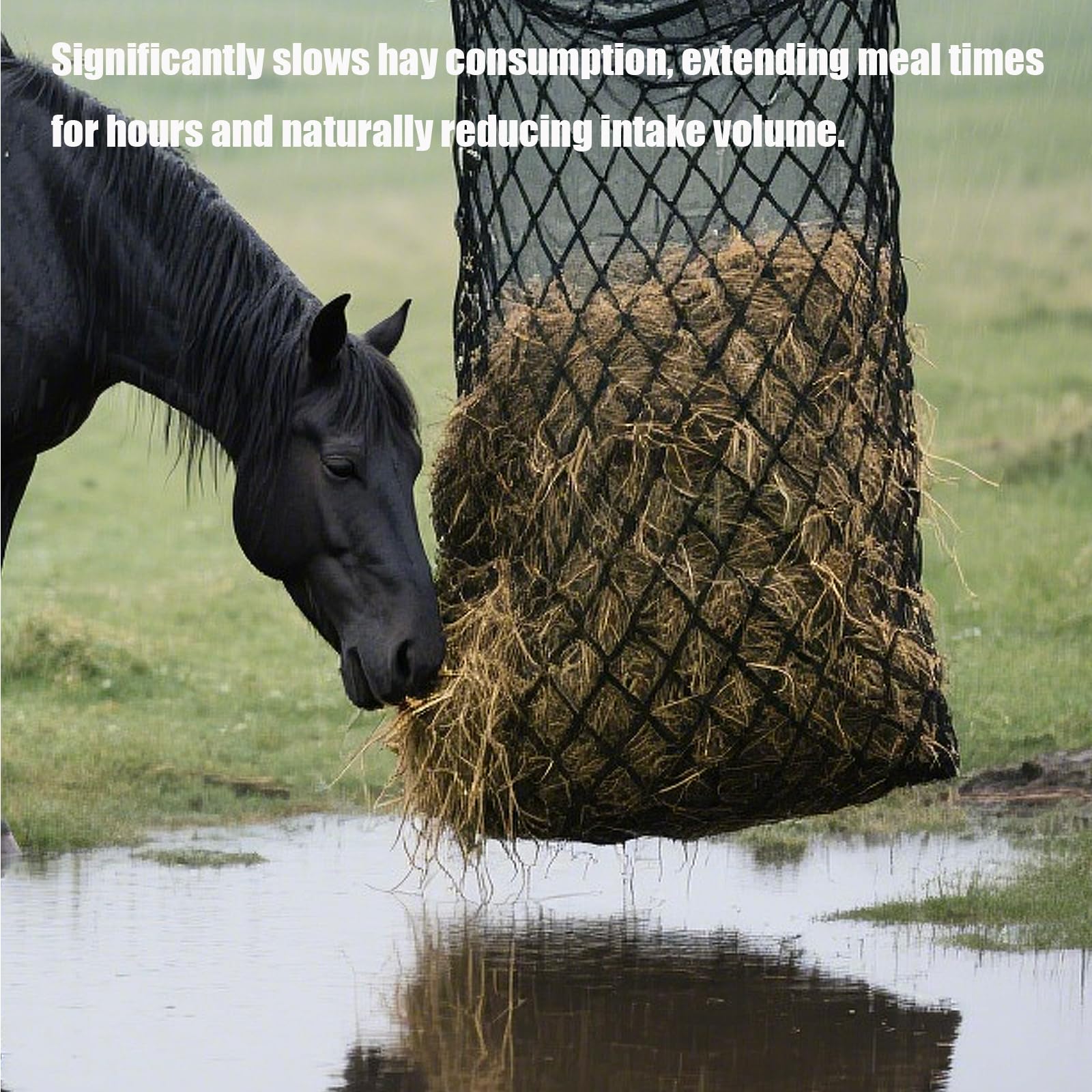 Surecha hay net hanging in a stall demonstrates a safe grazing setup