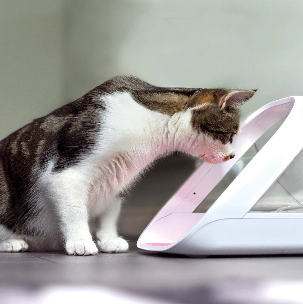 SureFeed feeder bowl close-up with LED portion guide for accurate serving.