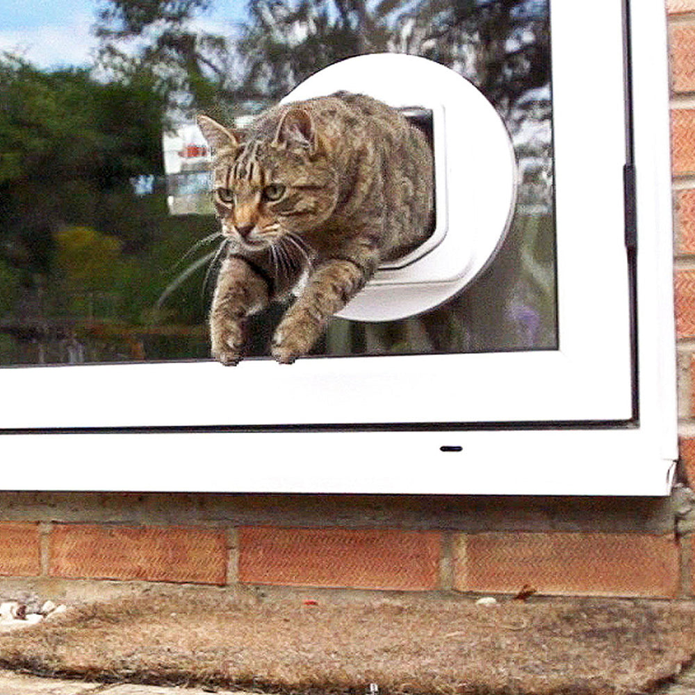 SureFlap DualScan cat door installation options for doors, walls, or windows.