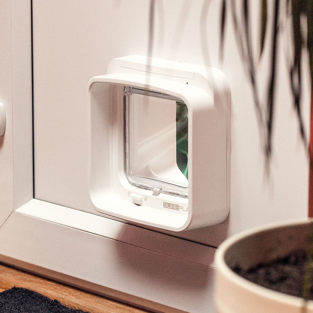 SureFlap DualScan cat door opening size 4 3/4 by 5 5/8 inches.