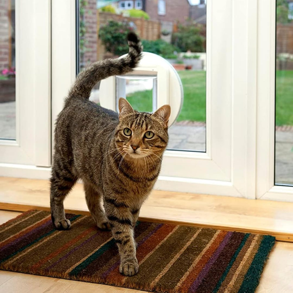 SureFlap microchip cat door in-door opening highlights controlled access for curious cats.