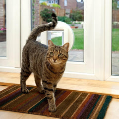 SureFlap microchip cat door in-door opening highlights controlled access for curious cats.