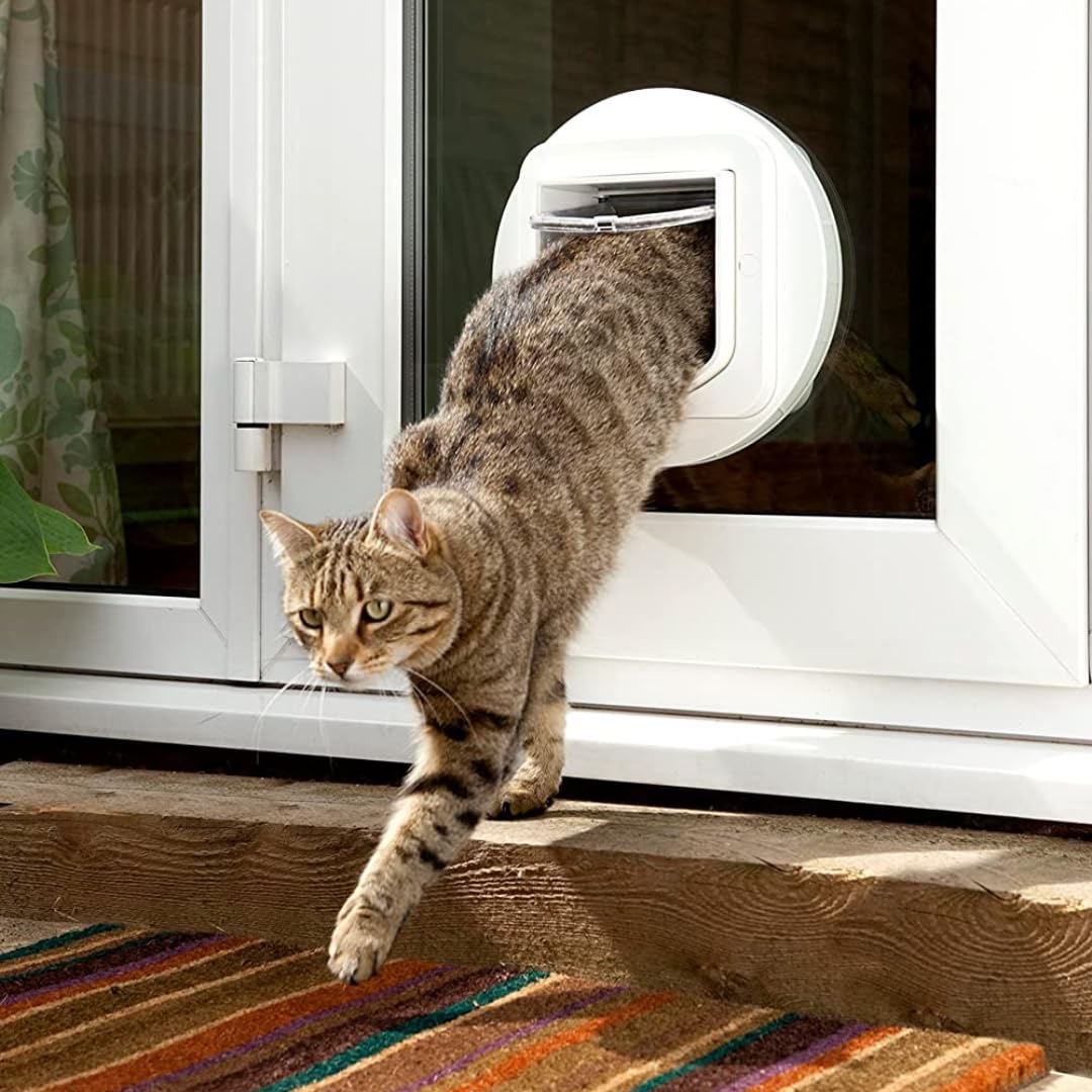 SureFlap microchip cat door installation demonstrates easy setup for pet-safe entry.