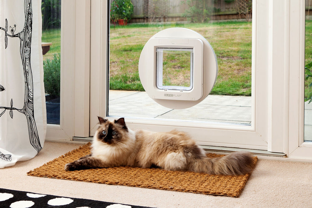 SureFlap chip reader in action validating a microchip