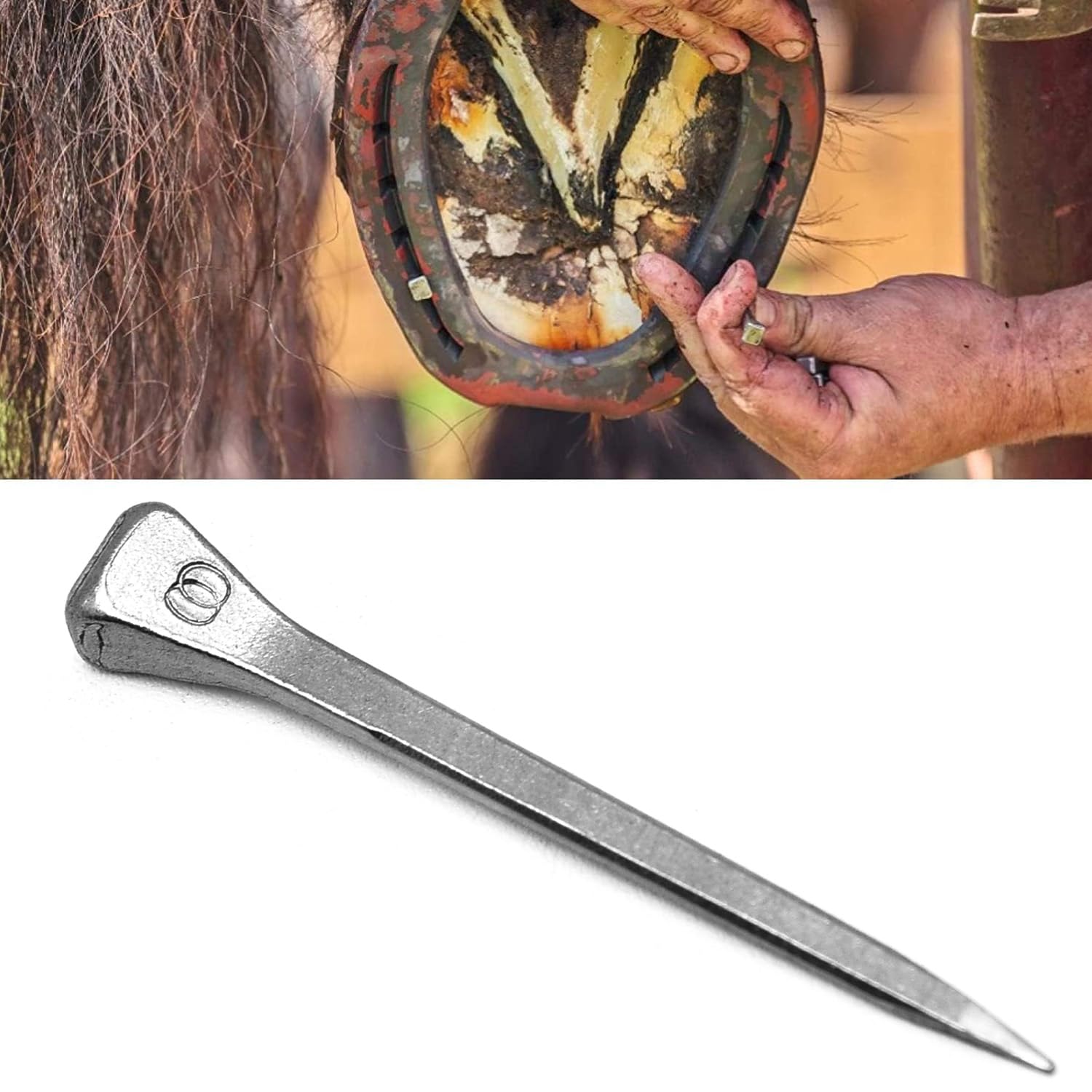 Surf turtle E6 nails securing horseshoes firmly in use