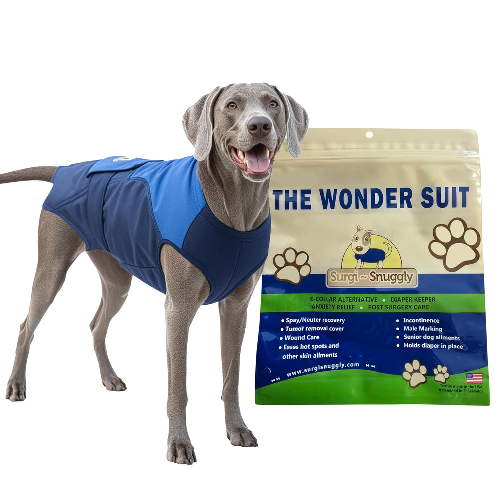 SurgiSnuggly dog surgical recovery suit front view supports post-op comfort.