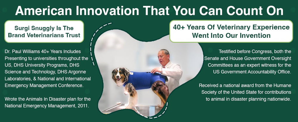 SurgiSnuggly seven-color options image showcases variety for every pup.