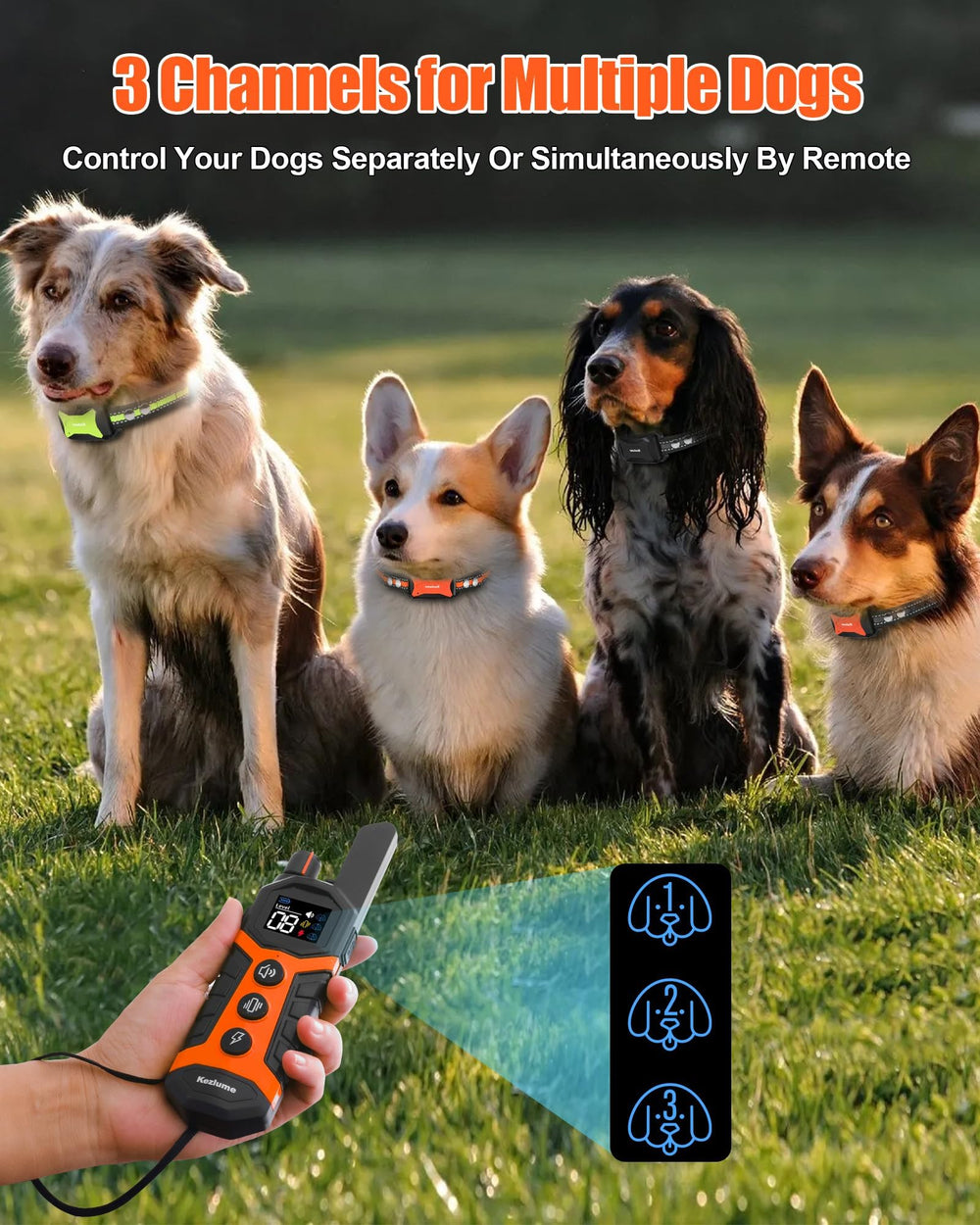 SurMountor remote and collar charging with 2-in-1 USB for quick full-day use