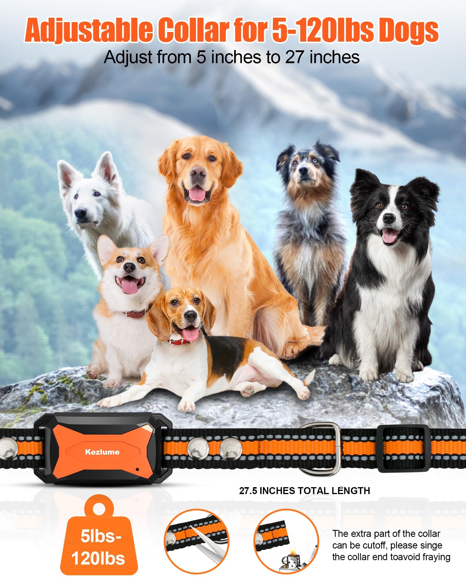 SurMountor dog training collar depicted in outdoor run with trainer