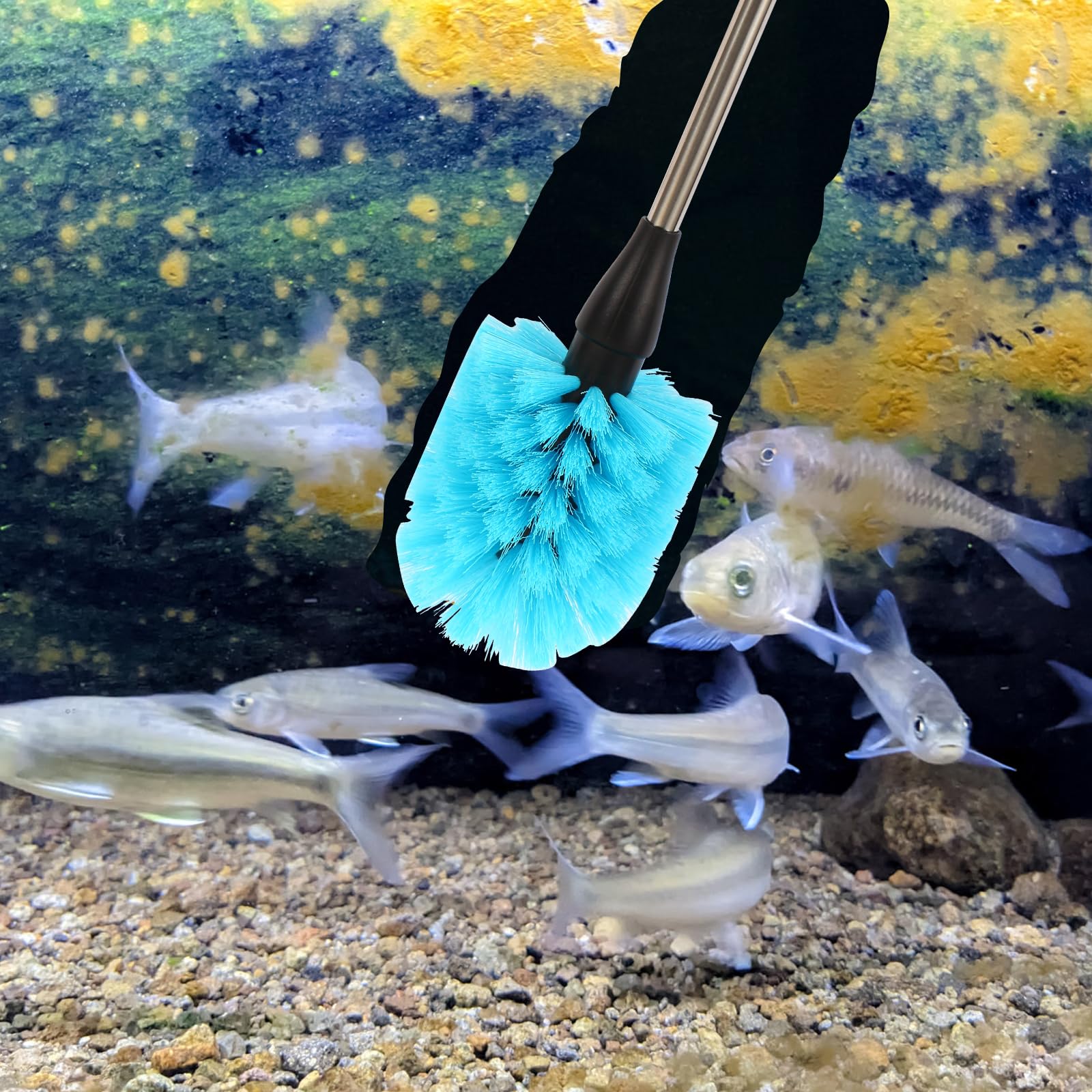 Suseg compact aquarium cleaning kit on display for tidy storage