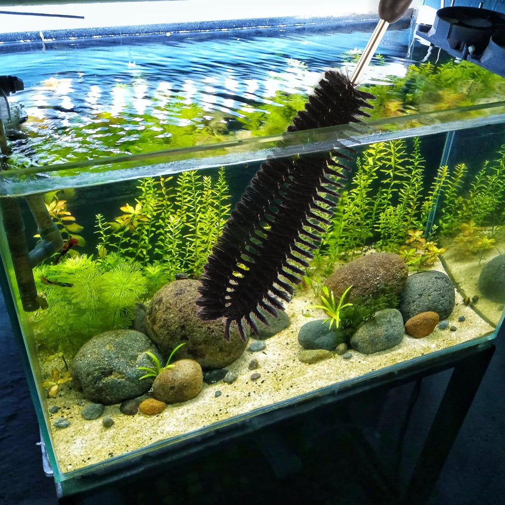 Suseg multi functional cleaning brushes suitable for kitchen and home tasks