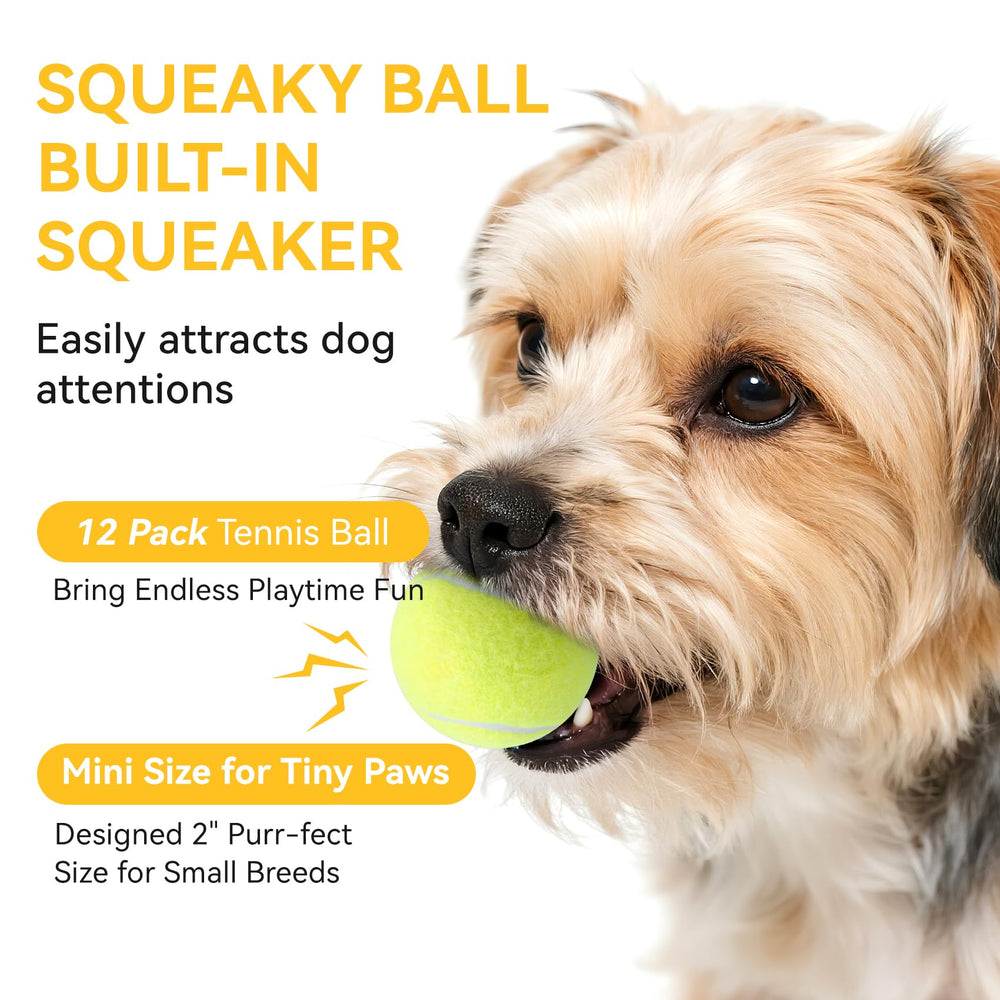 Susu & Wuwu bright-green squeaky ball rolling—easy visibility for outdoor fetch.