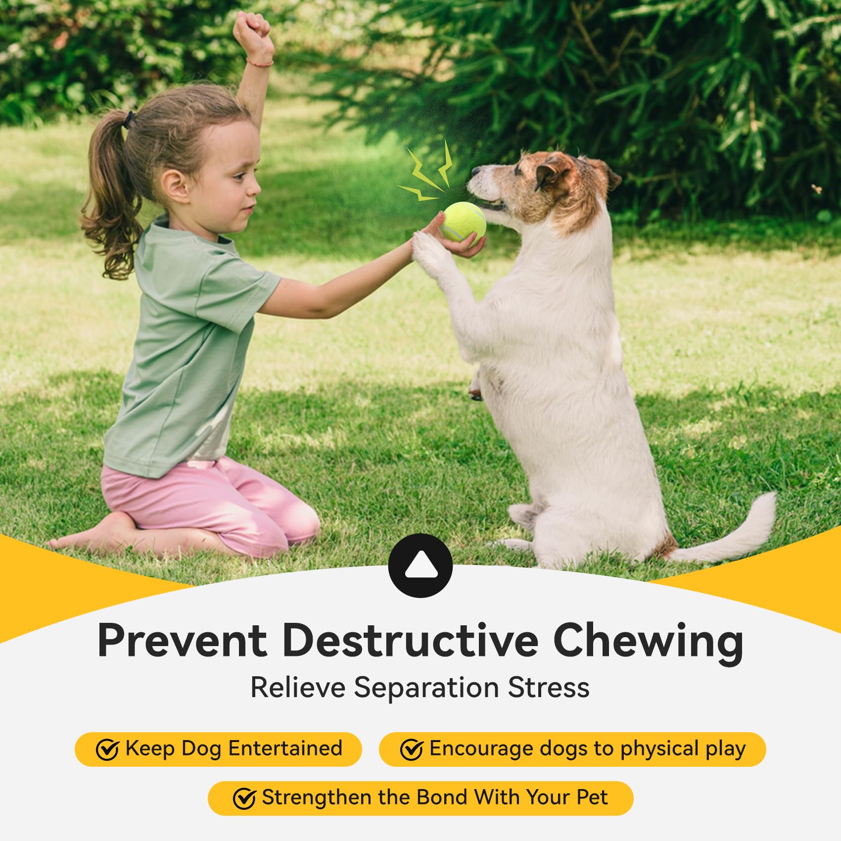 Susu & Wuwu dogs playing fetch with squeaky balls—engaging chase and bonding.