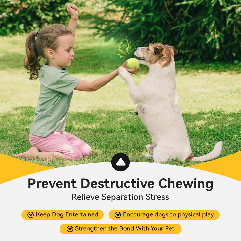 Susu & Wuwu dogs playing fetch with squeaky balls—engaging chase and bonding.