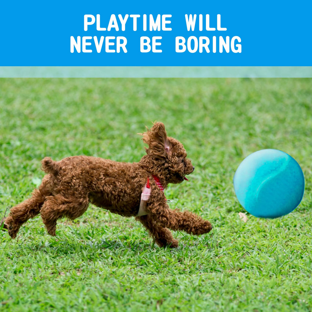 susu wuwu giant tennis ball for dogs yellow packaging image shows gift-ready fun