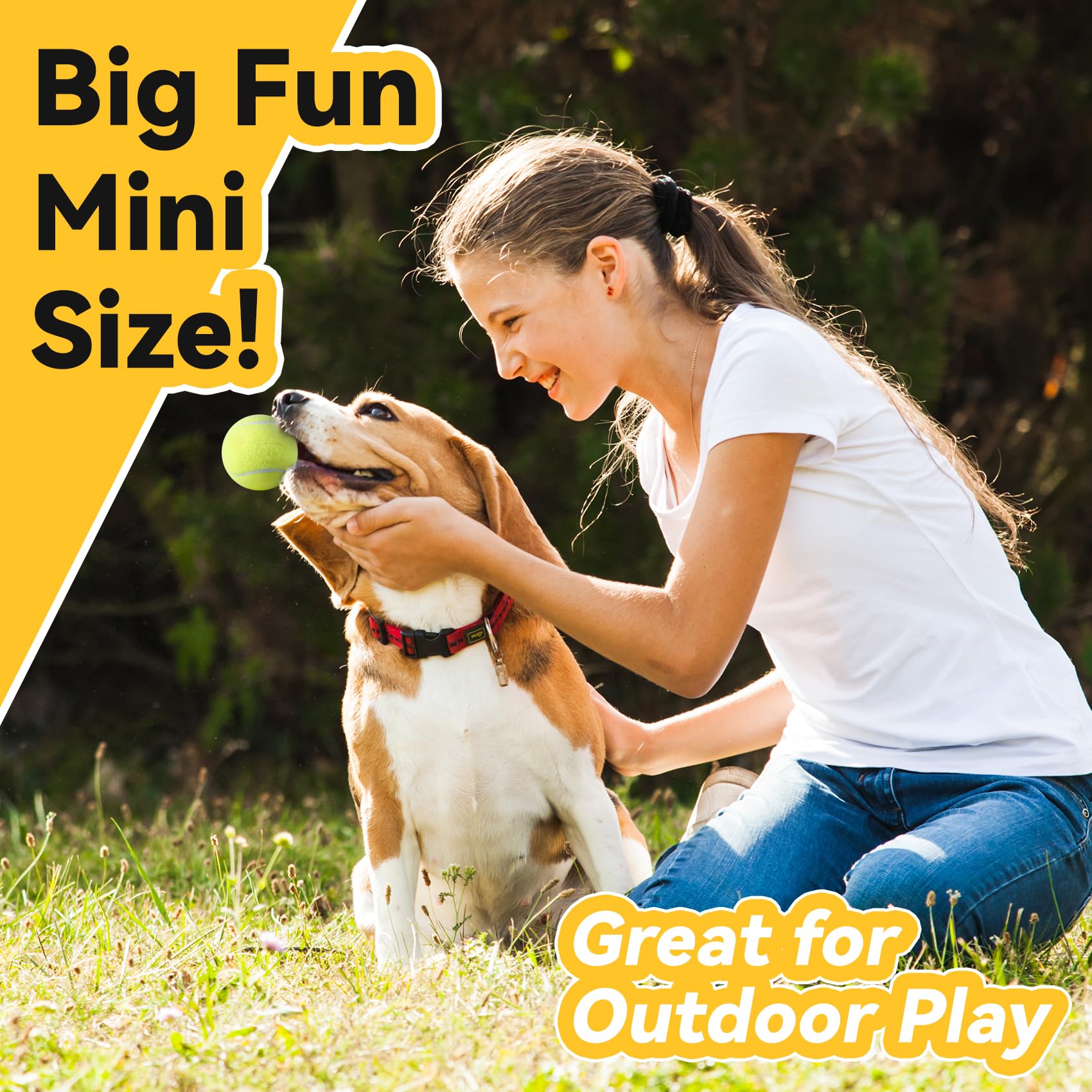 Susu & Wuwu gift-pack—12 pieces for multi-dog households and regular toy rotation.