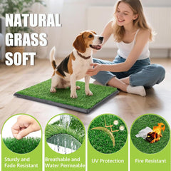 Suwuyue replaceable grass patches bundle maintains fresh training surfaces.