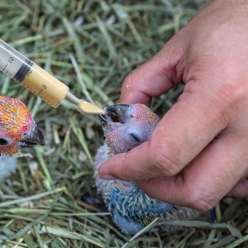 Suxgumoe feeding tools bundle for small-pet care and DIY projects