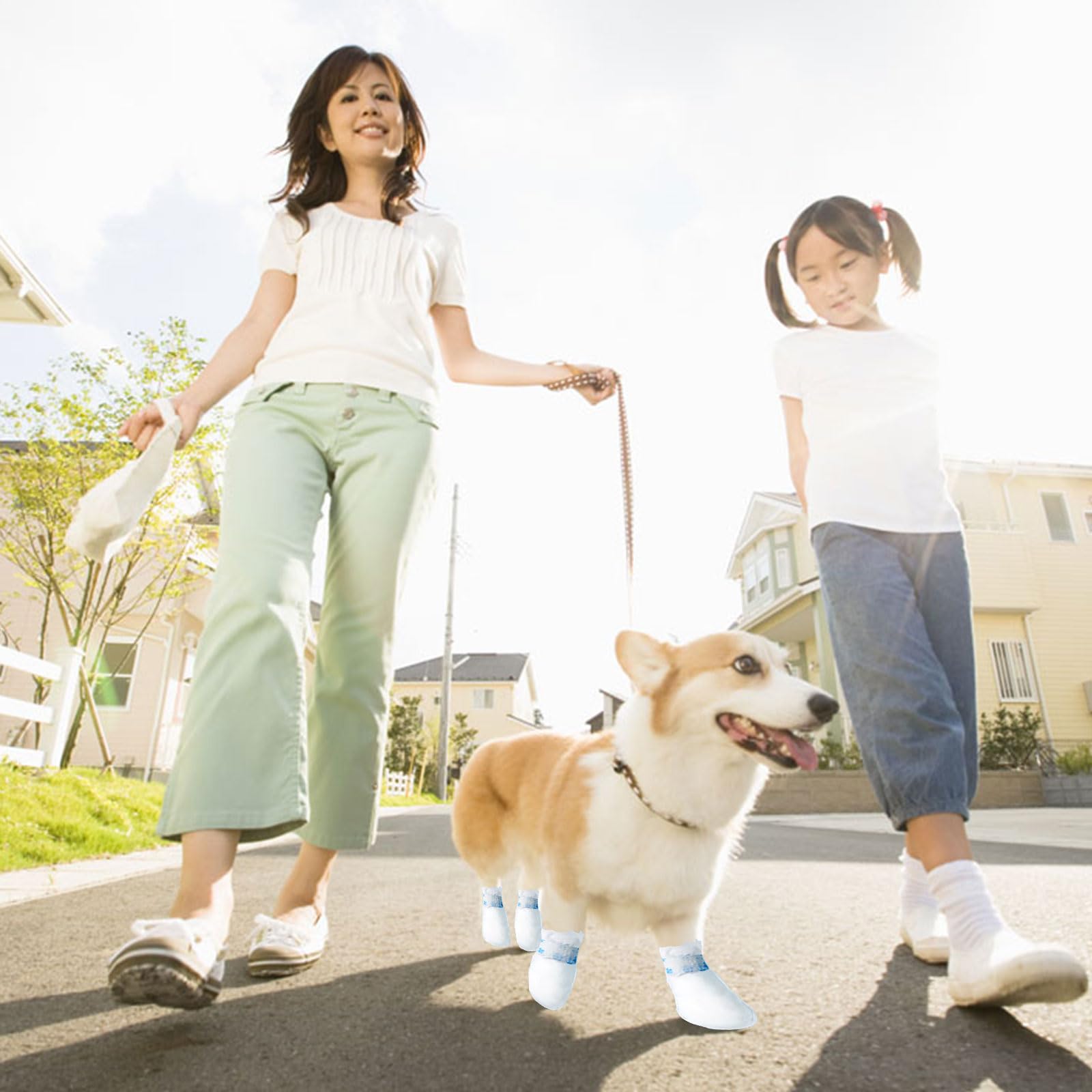 Suxgumoe size large fit dog boots demonstrate adjustable strap usability