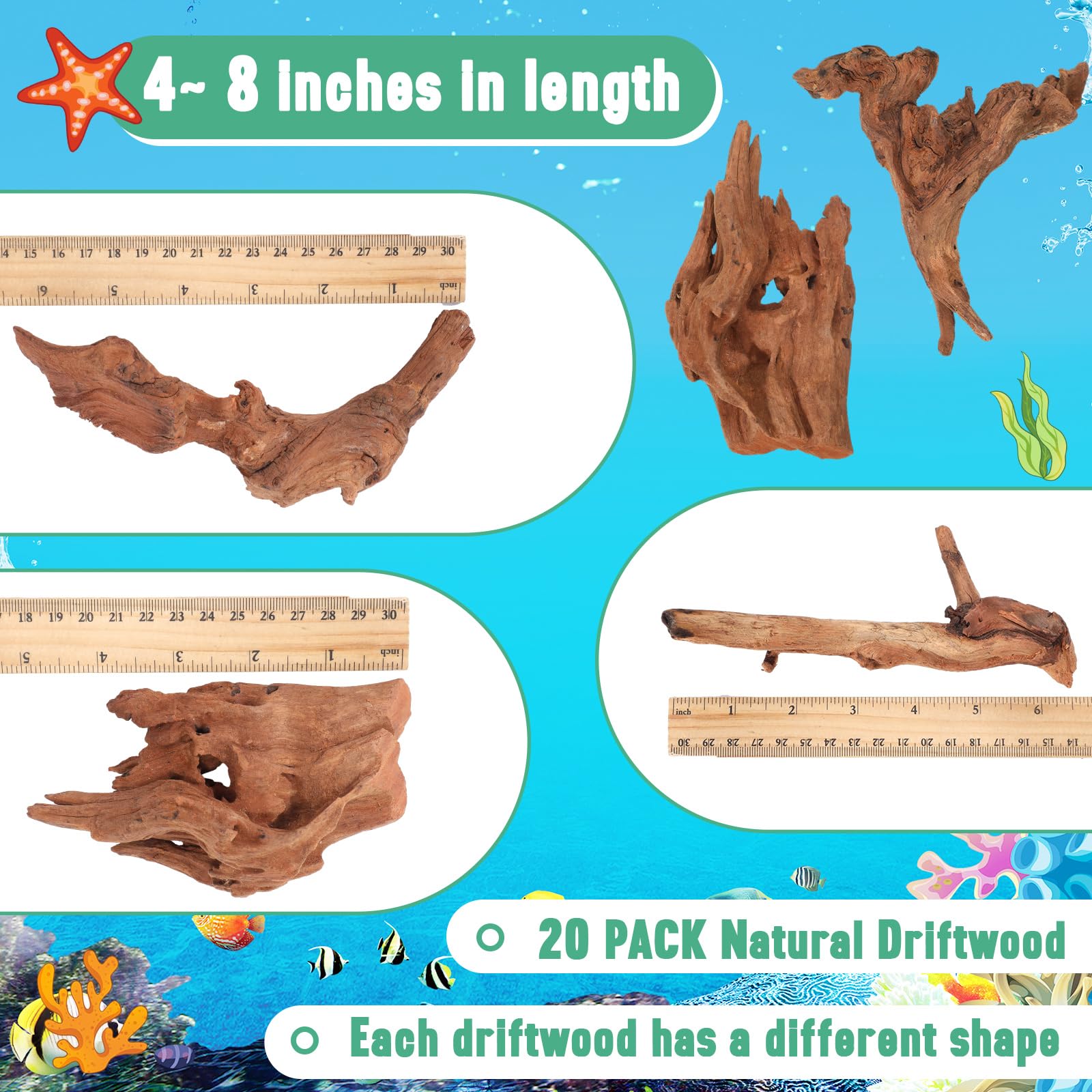 Suzile coral driftwood varied shapes enhance aquascapes with natural looks.