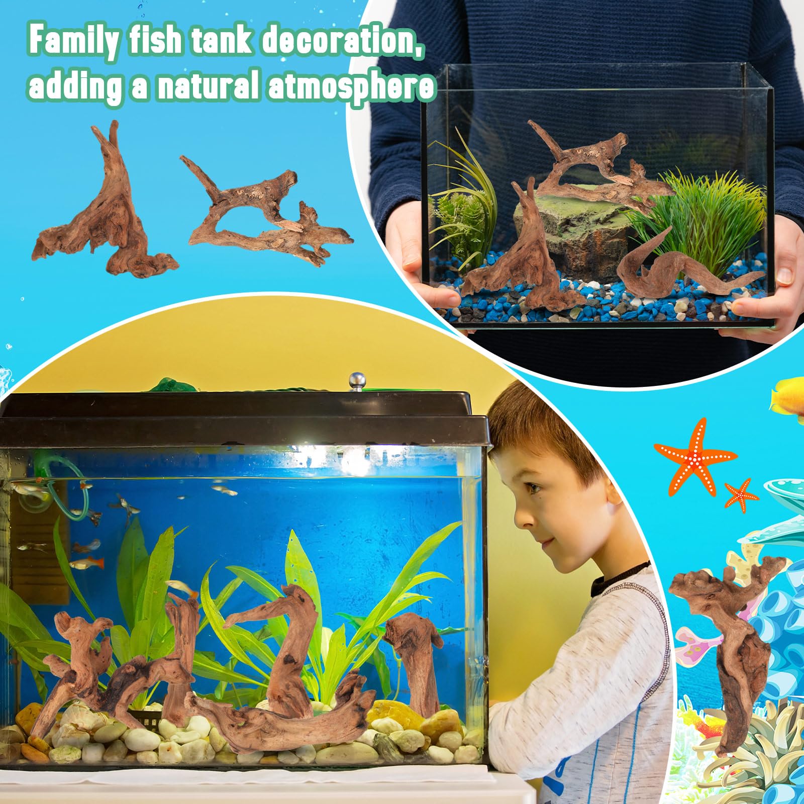 Suzile driftwood for fish tanks and reptile habitats provides focal points.