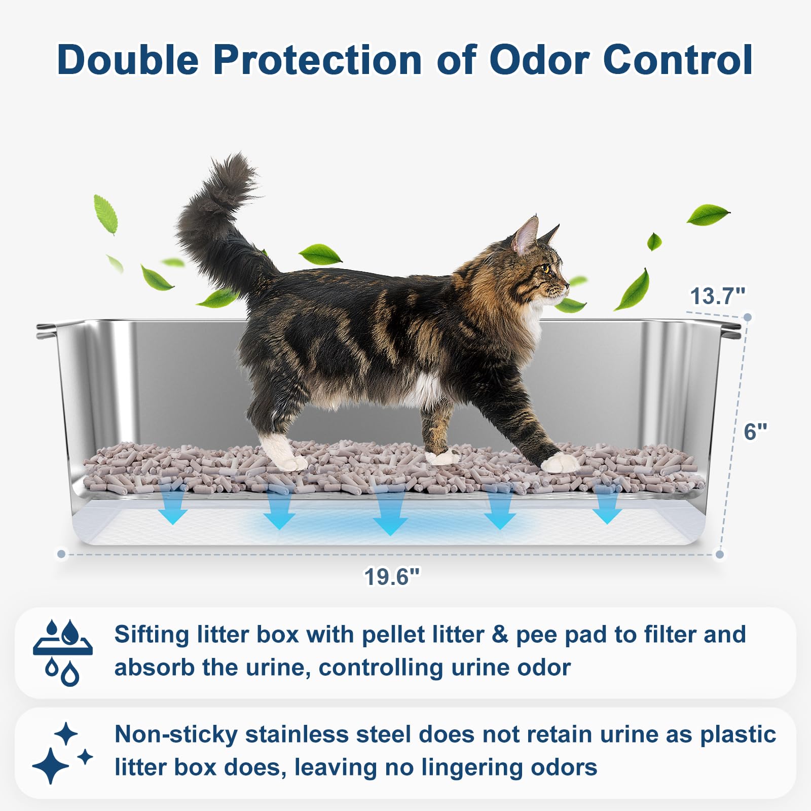 Suzzzipaws open-top lid — convenient for anxious or air-preferring cats.