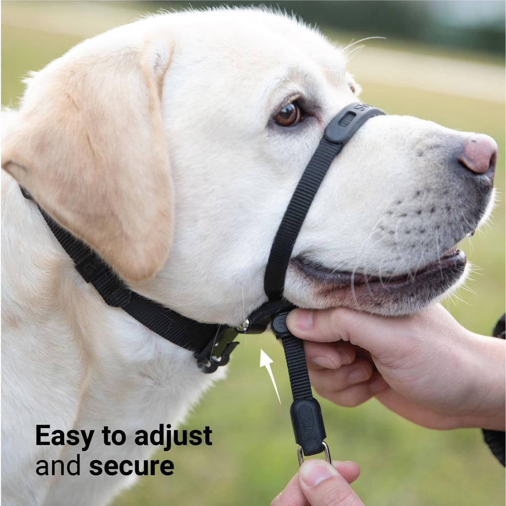 SVD.PET headcollar comfort silicone protector for irritation-free wear.