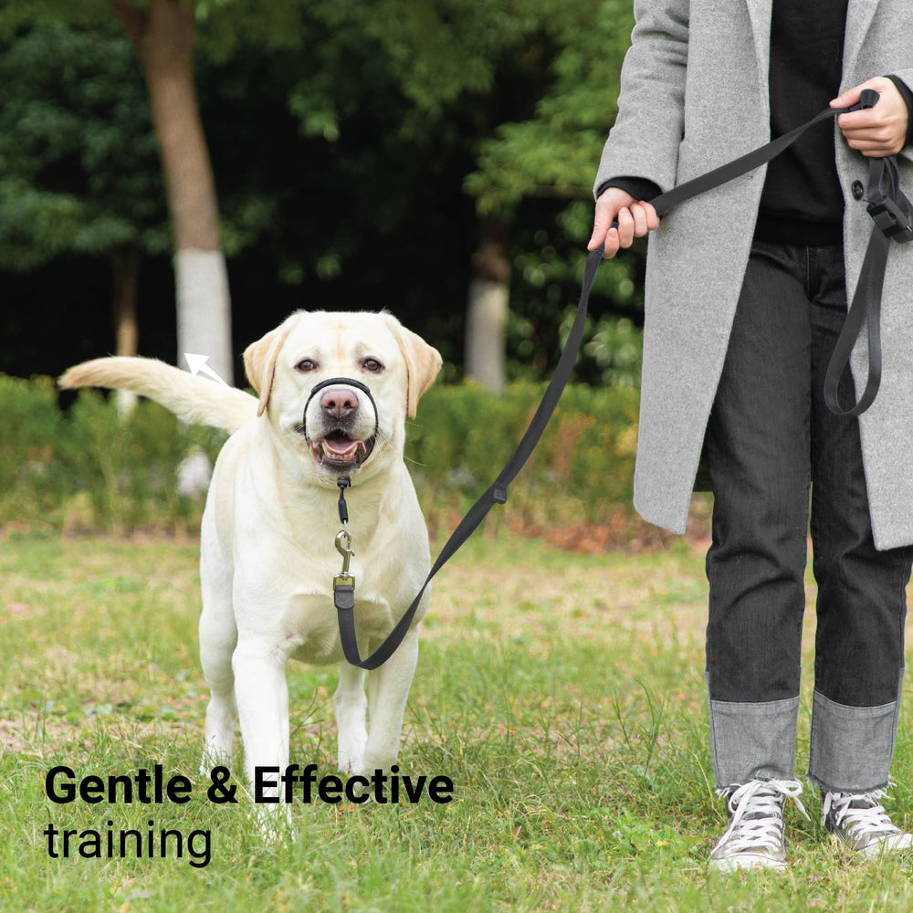 SVD.PET headcollar locking buckle demonstrates secure closure.