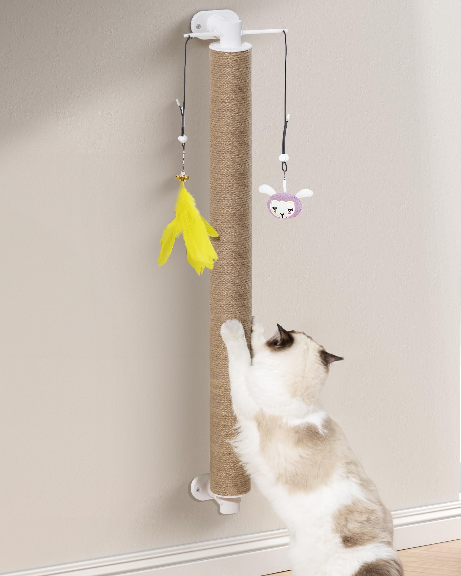 SVD.PET horizontal setup allows walking and safe wall-scratching.