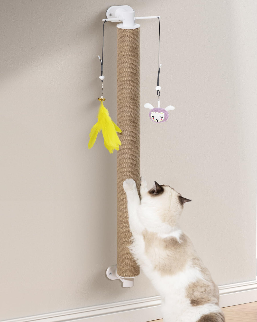 SVD.PET horizontal setup allows walking and safe wall-scratching.