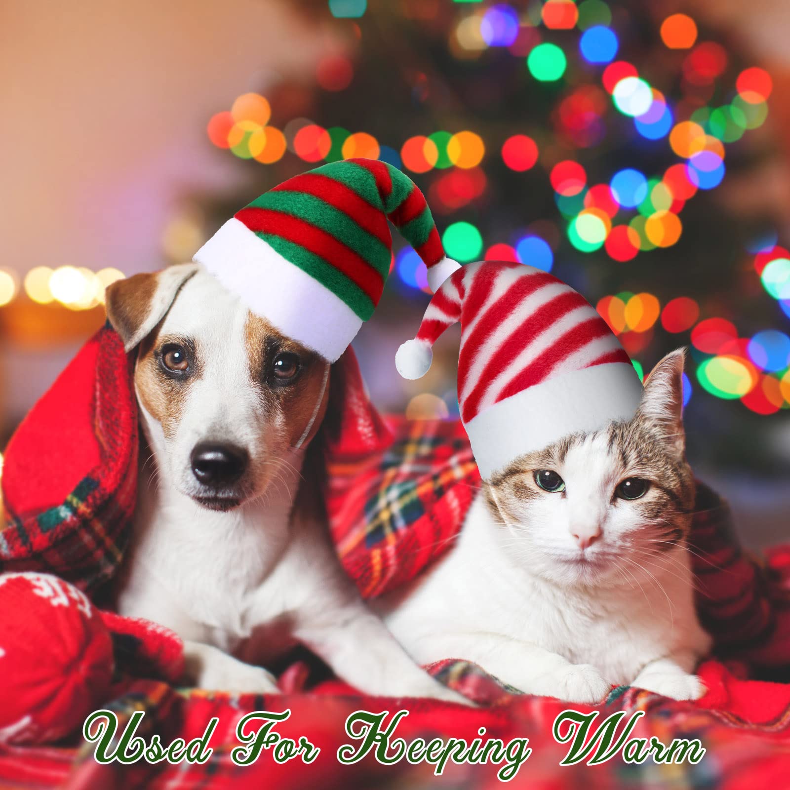 Svee striped red-white hat on a pet for holiday wear