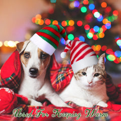Svee striped red-white hat on a pet for holiday wear