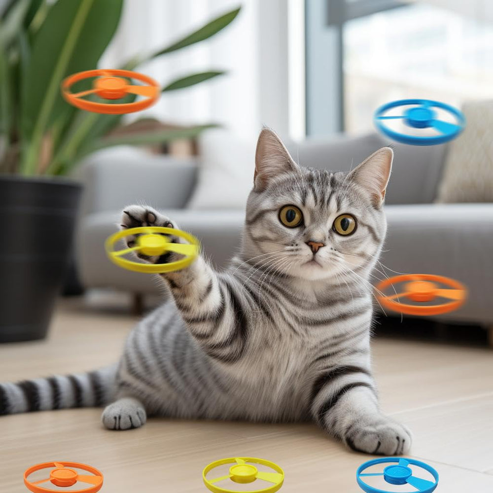 Svemei cat fetch toy used indoors and outdoors promotes exercise and bonding
