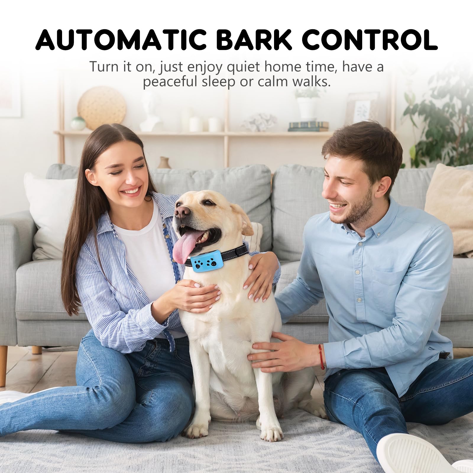 Svtrat bark collar display panel highlights adjustable settings