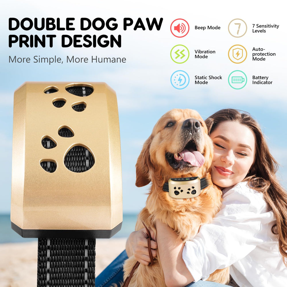 Svtrat bark collar on dog neck enabling discreet training during walks