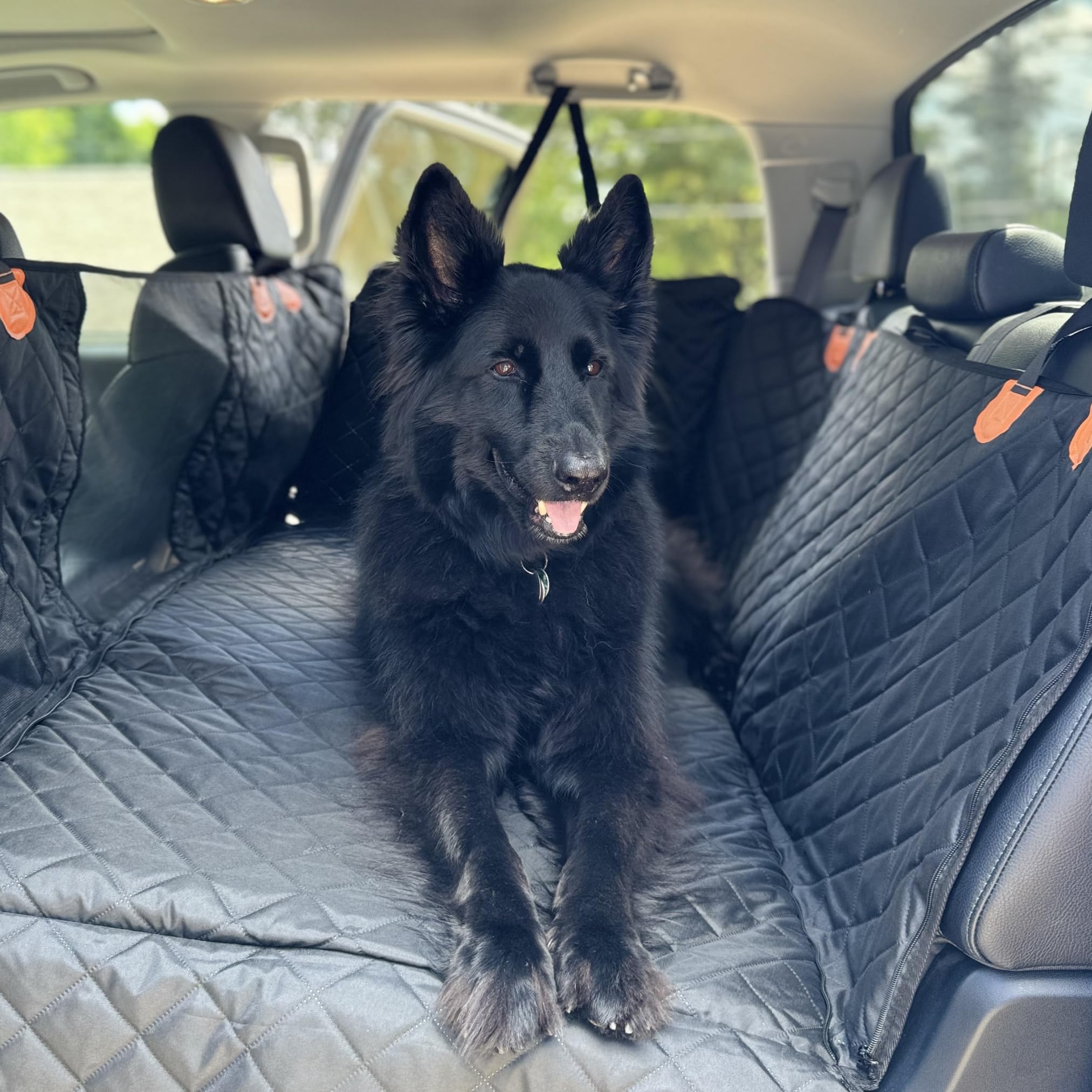 SW PRODUCTS soft-touch material feels comfortable for pets during rides.
