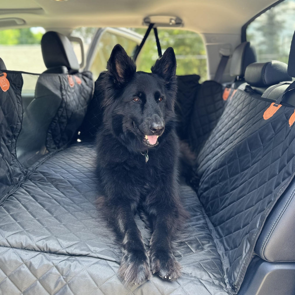 SW PRODUCTS soft-touch material feels comfortable for pets during rides.