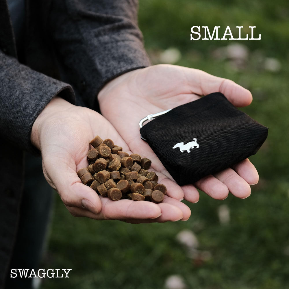 Swaggly small dog treat pouch with magnetic opening for one-handed access during training